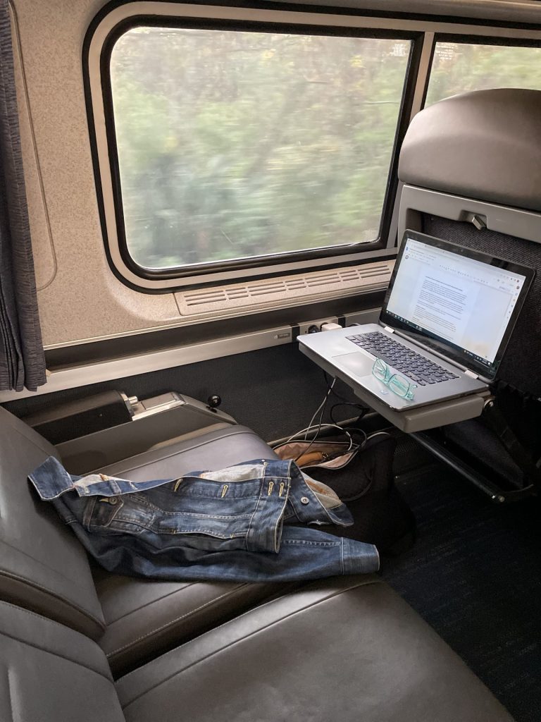 Amtrak Coach Seat