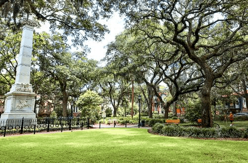 Beautiful greenery at Monterey Square in Savannah, Georgia.