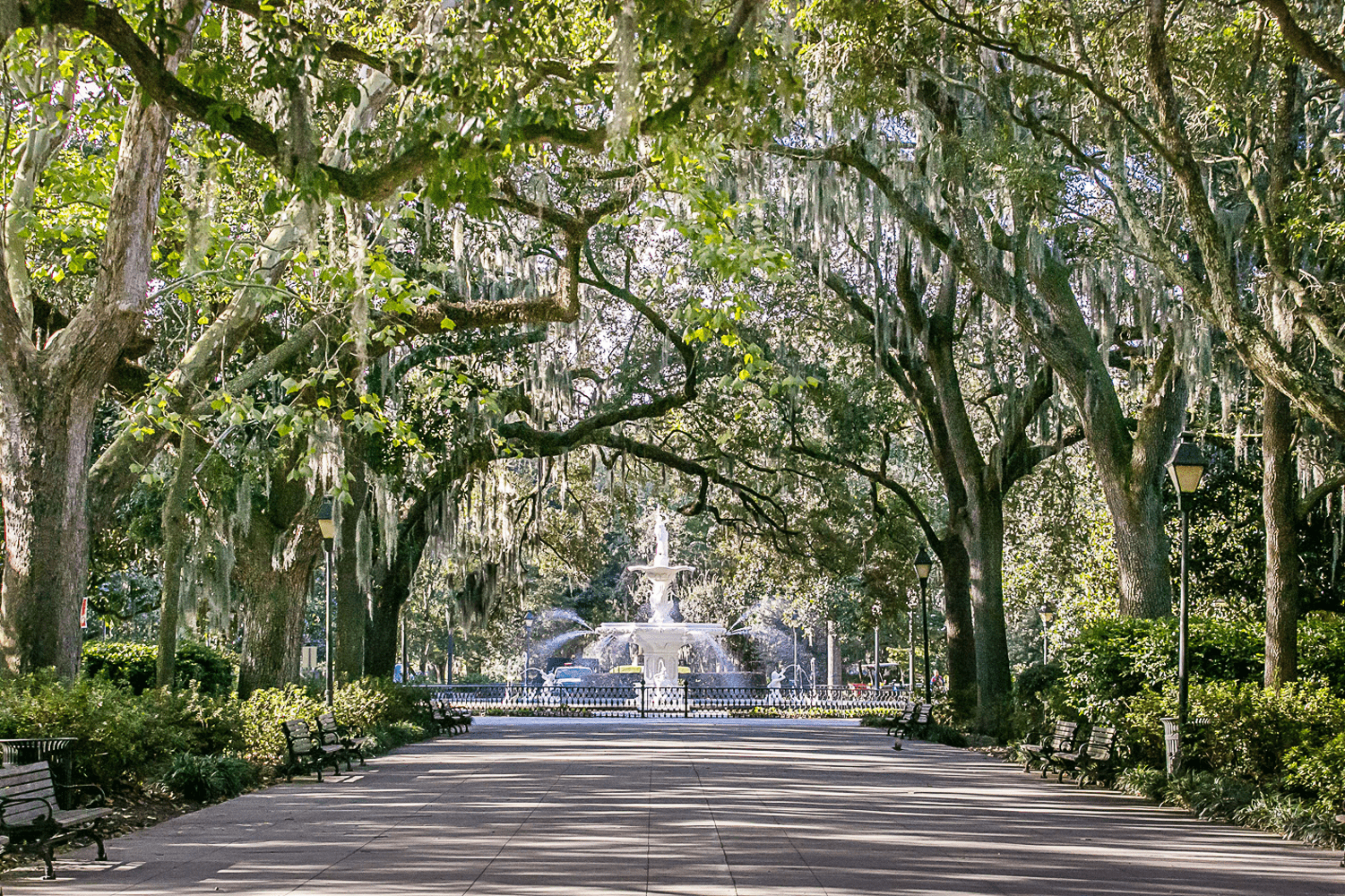 A path with beautiful trees leading to the Forsyth Park fountain in Savannah, Georgia.