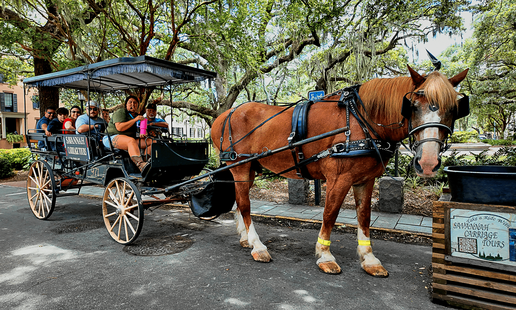 A carriage ride during a tour in Savannah, Georgia
