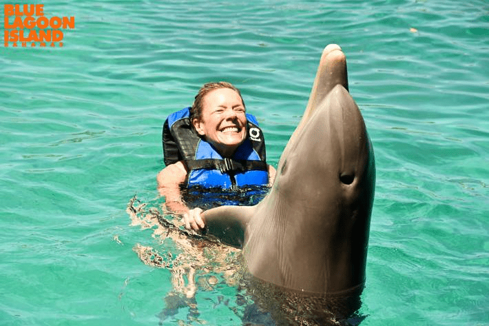 Carnival-Cruise-Review-Dolphin