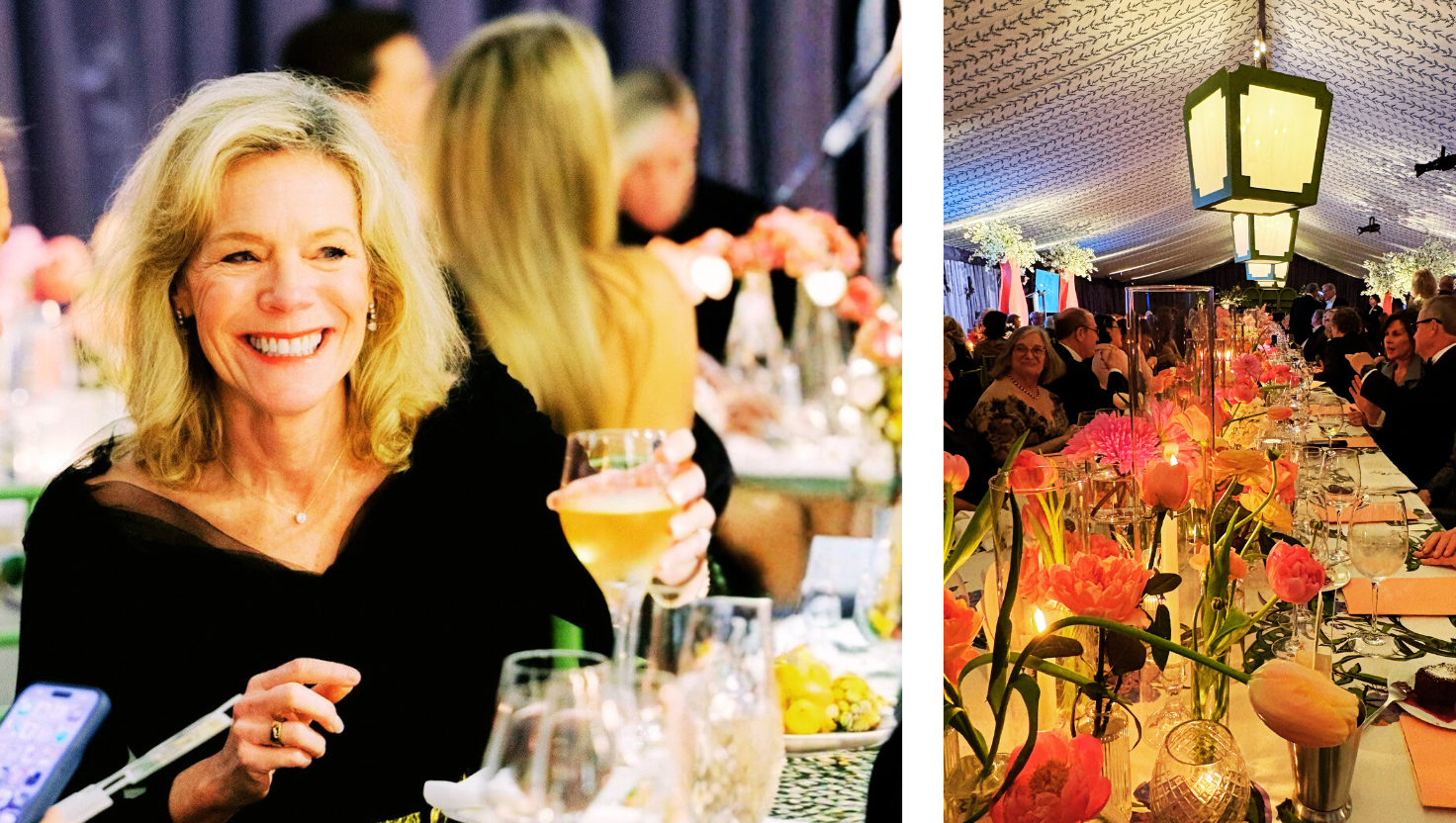 Jenny Lynn on a Journey Telfair Ball Savannah GA gala 